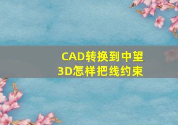 CAD转换到中望3D怎样把线约束