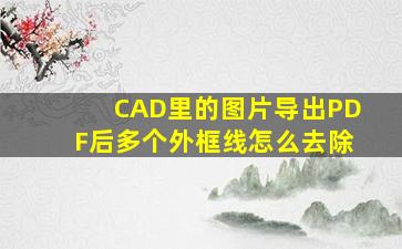 CAD里的图片导出PDF后多个外框线怎么去除