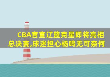 CBA官宣辽篮克星即将亮相总决赛,球迷担心杨鸣无可奈何