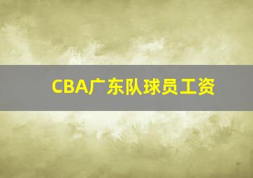 CBA广东队球员工资