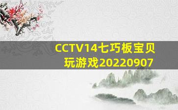 CCTV14七巧板宝贝玩游戏20220907