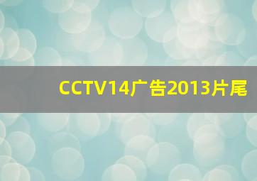 CCTV14广告2013片尾