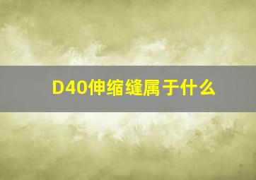 D40伸缩缝属于什么