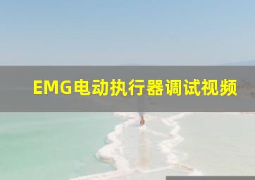 EMG电动执行器调试视频