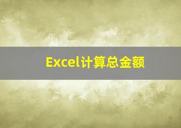 Excel计算总金额