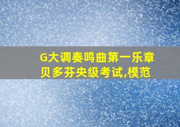 G大调奏鸣曲第一乐章贝多芬央级考试,模范