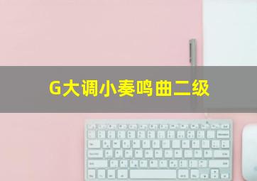 G大调小奏鸣曲二级