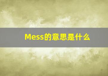 Mess的意思是什么