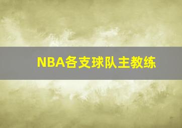 NBA各支球队主教练