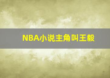 NBA小说主角叫王毅