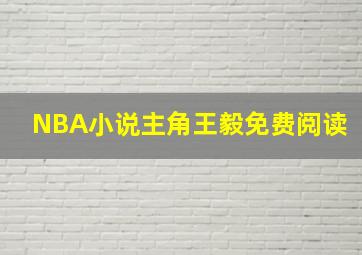 NBA小说主角王毅免费阅读