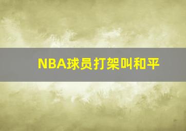 NBA球员打架叫和平