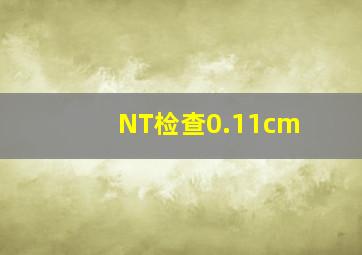 NT检查0.11cm