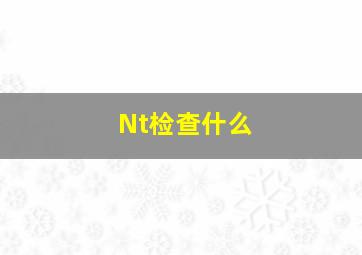 Nt检查什么