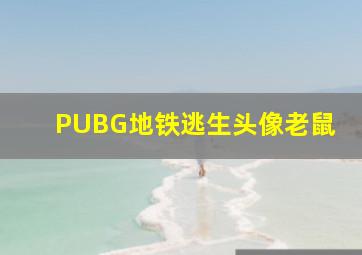 PUBG地铁逃生头像老鼠