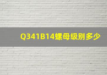 Q341B14螺母级别多少