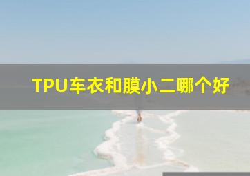 TPU车衣和膜小二哪个好