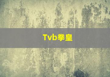 Tvb拳皇