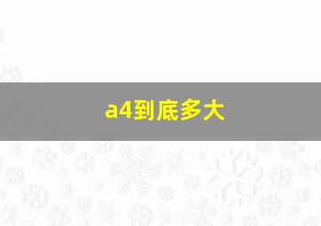 a4到底多大