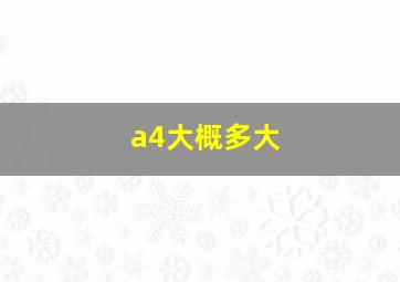 a4大概多大