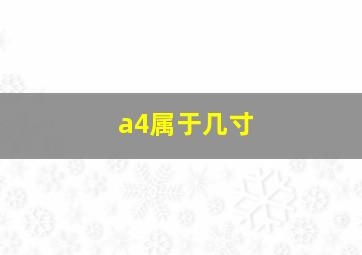 a4属于几寸