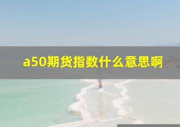 a50期货指数什么意思啊