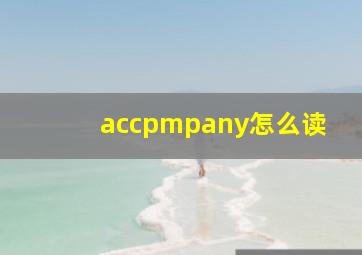 accpmpany怎么读