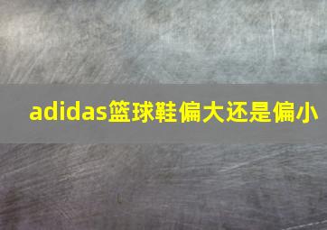 adidas篮球鞋偏大还是偏小