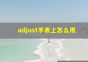 adjust手表上怎么用