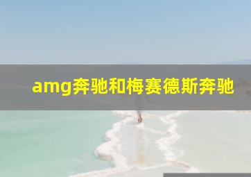 amg奔驰和梅赛德斯奔驰