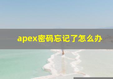 apex密码忘记了怎么办