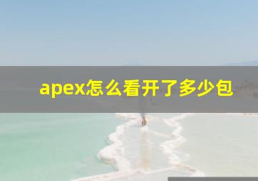 apex怎么看开了多少包