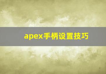 apex手柄设置技巧