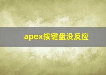 apex按键盘没反应