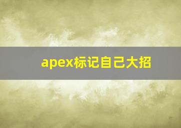 apex标记自己大招