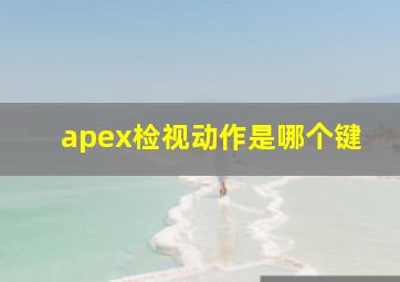 apex检视动作是哪个键