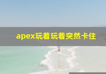 apex玩着玩着突然卡住