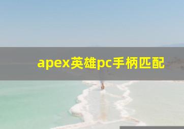 apex英雄pc手柄匹配