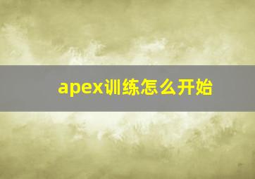 apex训练怎么开始