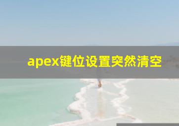 apex键位设置突然清空