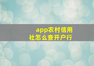 app农村信用社怎么查开户行