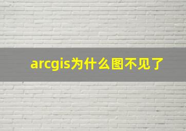 arcgis为什么图不见了