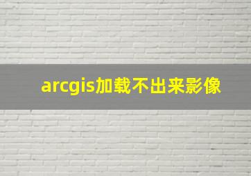 arcgis加载不出来影像