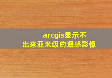 arcgis显示不出来亚米级的遥感影像