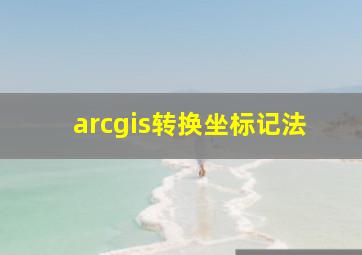 arcgis转换坐标记法