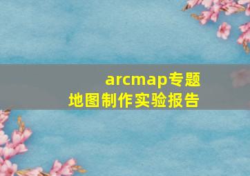 arcmap专题地图制作实验报告