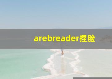 arebreader捏脸