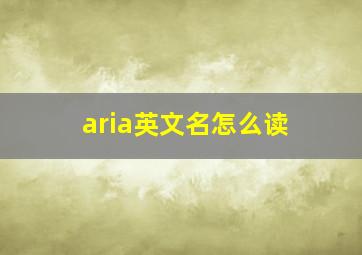 aria英文名怎么读