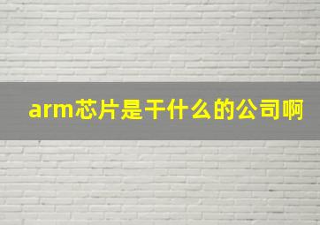 arm芯片是干什么的公司啊