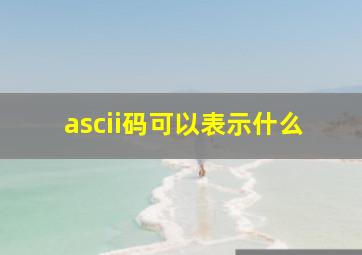 ascii码可以表示什么